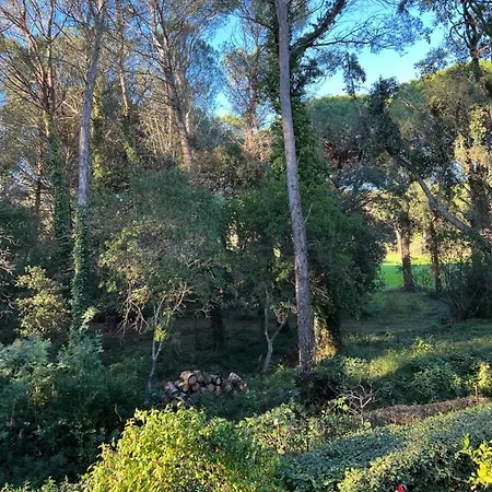 Apartment Les Hauts Du Golf Saint-Raphael (Var)